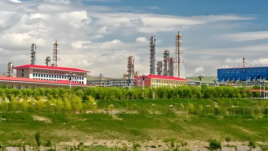 f19fa820-9cdb-11f0-8e09-fea6c39cc3af.jpg f19fa820-9cdb-11f0-8e09-fea6c39cc3af.jpg