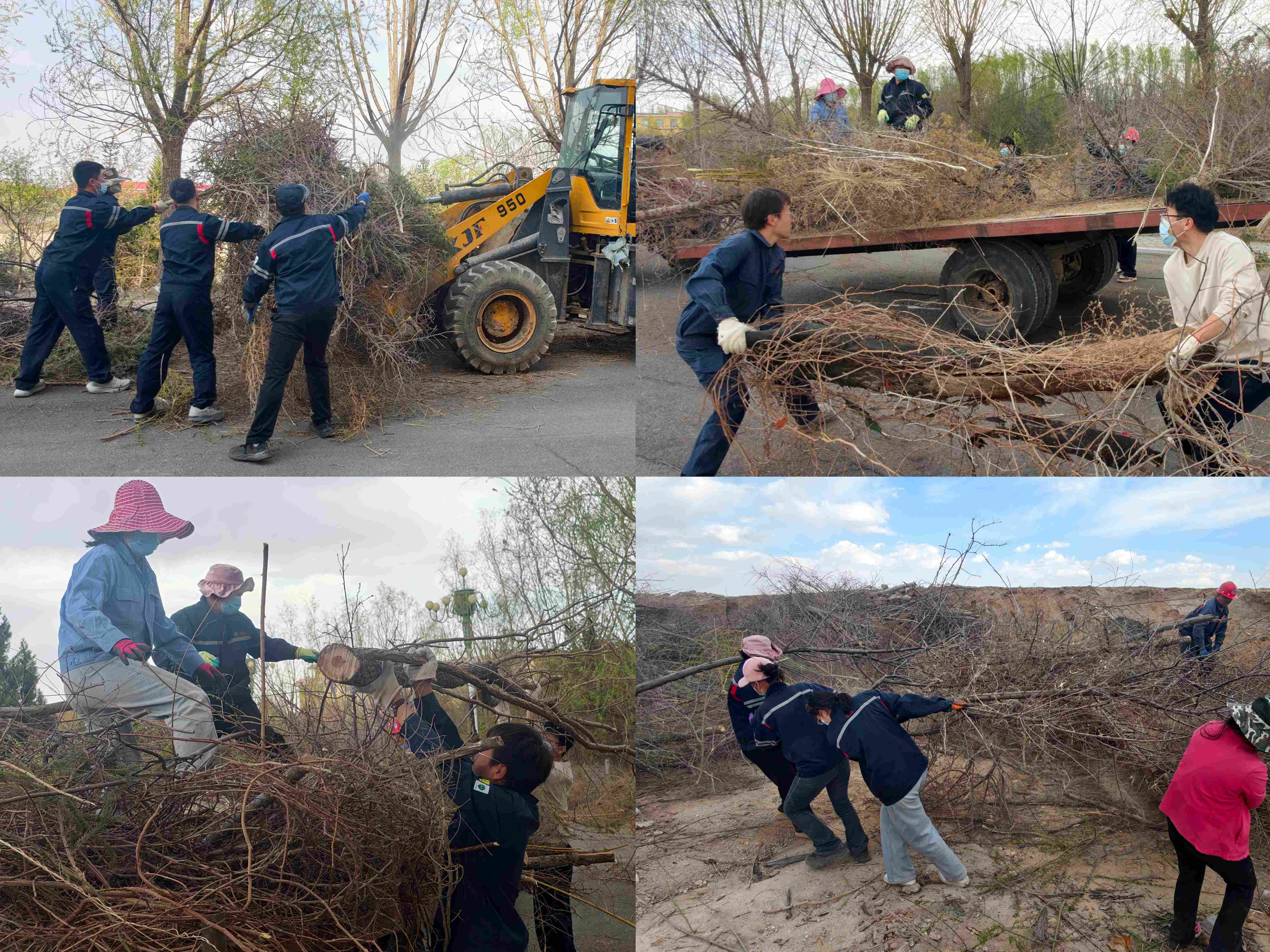 0e2575a1-33d6-11f1-844e-fea6c39cc3af.jpg 0e2575a1-33d6-11f1-844e-fea6c39cc3af.jpg